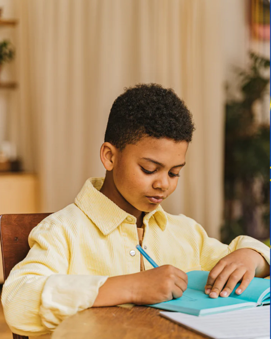 Black Boys Journaling